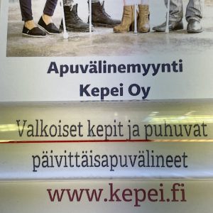 Lukuviivain Schweizer, 20 cm 1,5x  viivalla